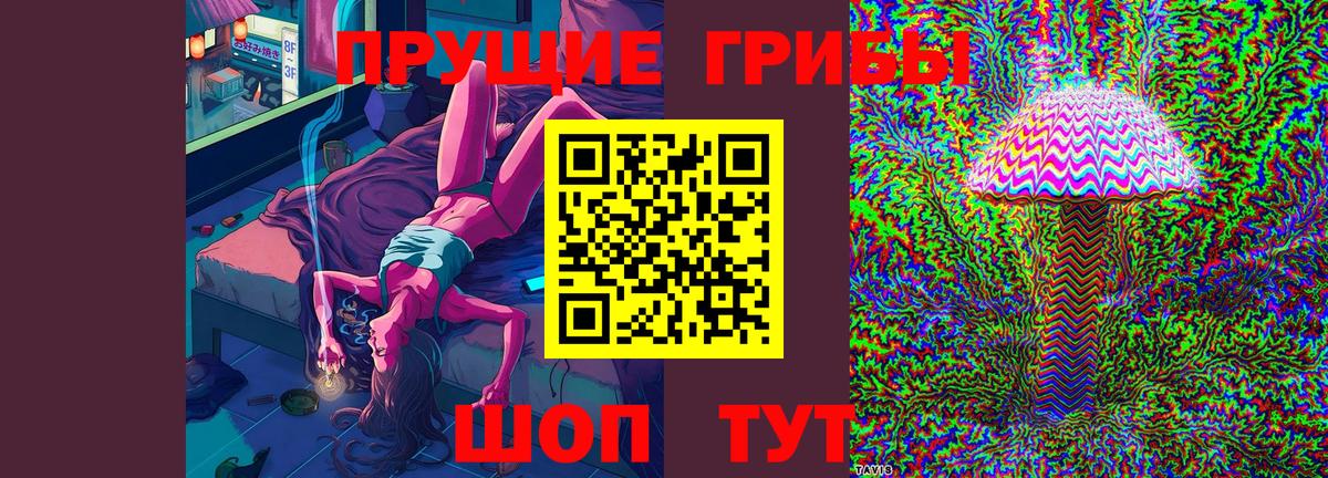 Псилоцибиновые грибы MAGIC MUSHROOMS  Псилоцибиновые грибы прущие грибы  Бузулук  Вход с VPN 